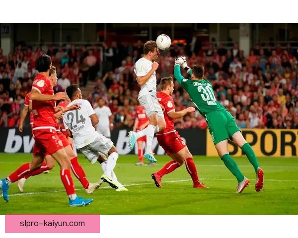 博尼法斯欧洲首赛季表现稳健，备受关注的年轻球员崭露头角